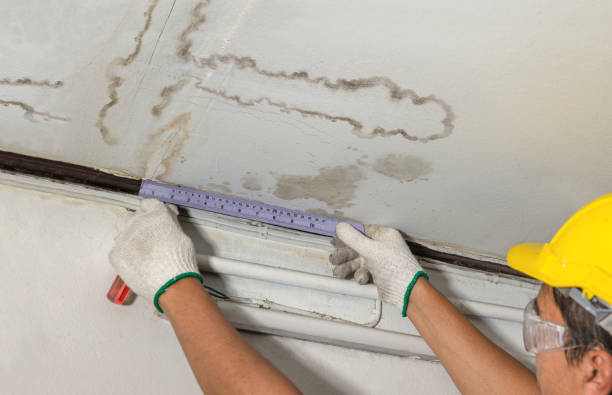 Reliable Water Damage contractor in Bourneville, OH by Water Damage Irwin